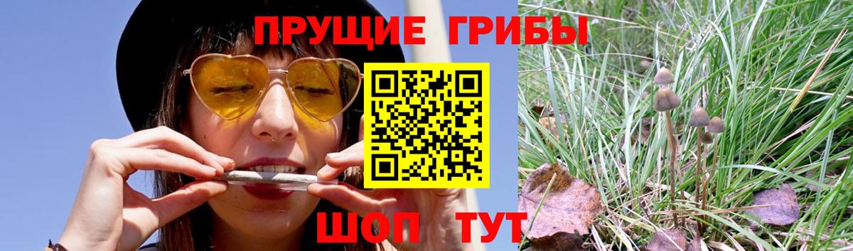 Псилоцибиновые грибы MAGIC MUSHROOMS  Вход с VPN  Ковров 